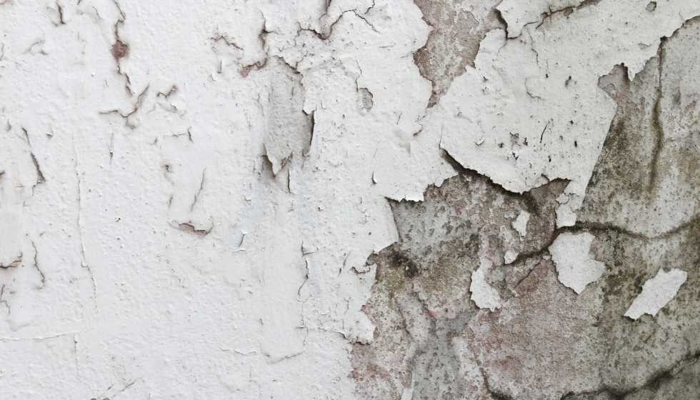 Limpiar las paredes de moho y humedad